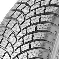 Bridgestone Blizzak LM 001 Evo 205/55-R16 91H